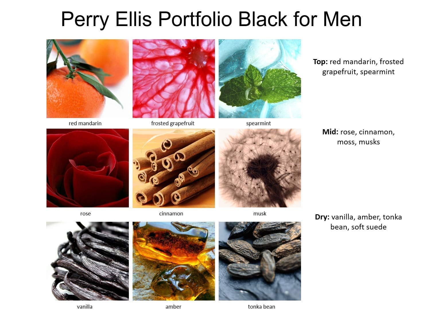 Portfolio Black by Perry Ellis for Men Eau de Palestine Ubuy