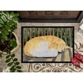 thumbnail image 3 of Carolines Treasures SS8760JMAT Paillasson Golden Retriever 24 x 36 Po., 3 of 4