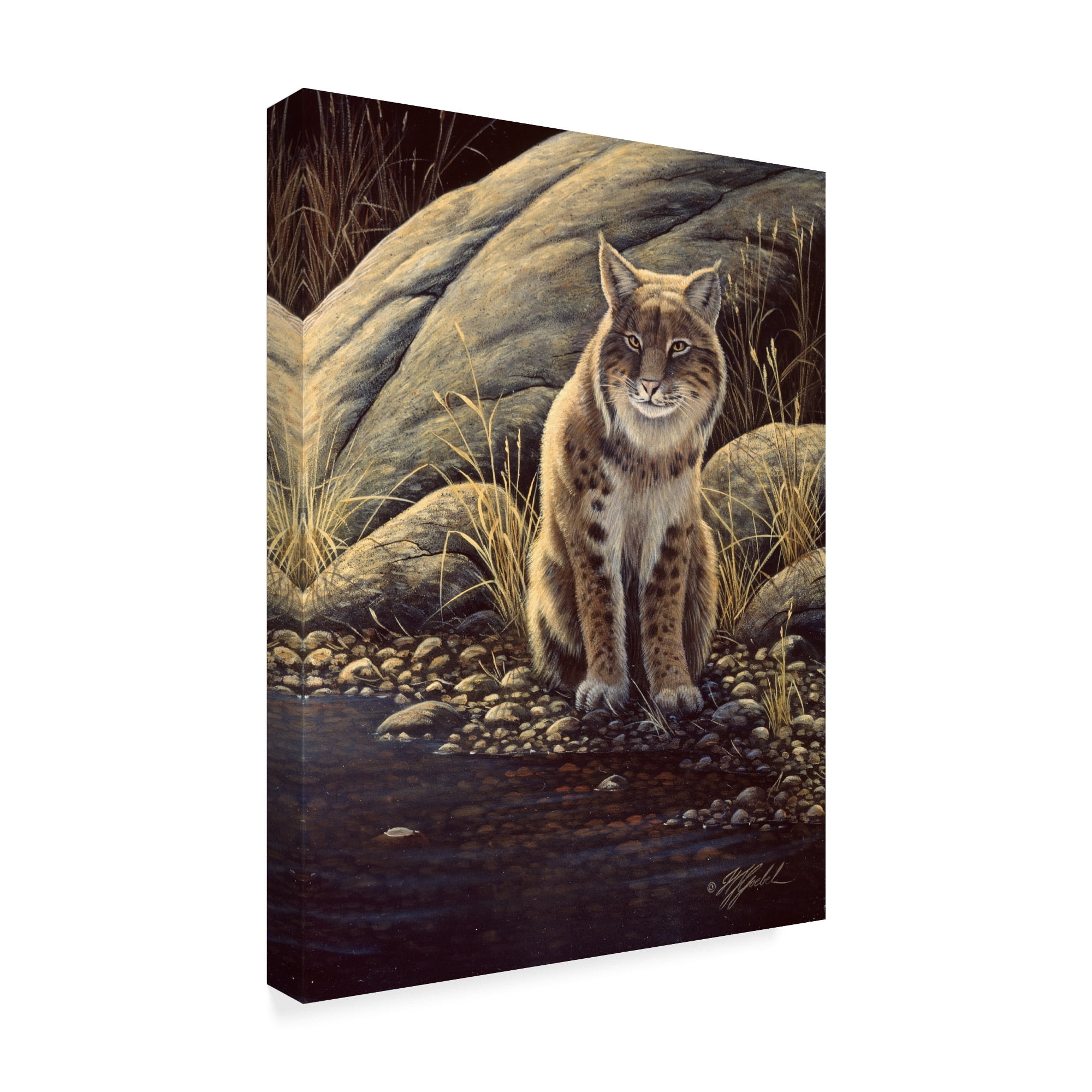 Trademark Fine Art 'Backlight Bobcat' Canvas Art by Wilhelm Goebel