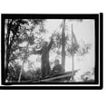 thumbnail image 2 of Historic Framed Print, DANIELS, FRANK A. SON OF JOSEPHUS DANIELS. RIGHT, WITH BROTHER JONATHAN DANIELS - 3, 17-7/8" x 21-7/8", 2 of 9