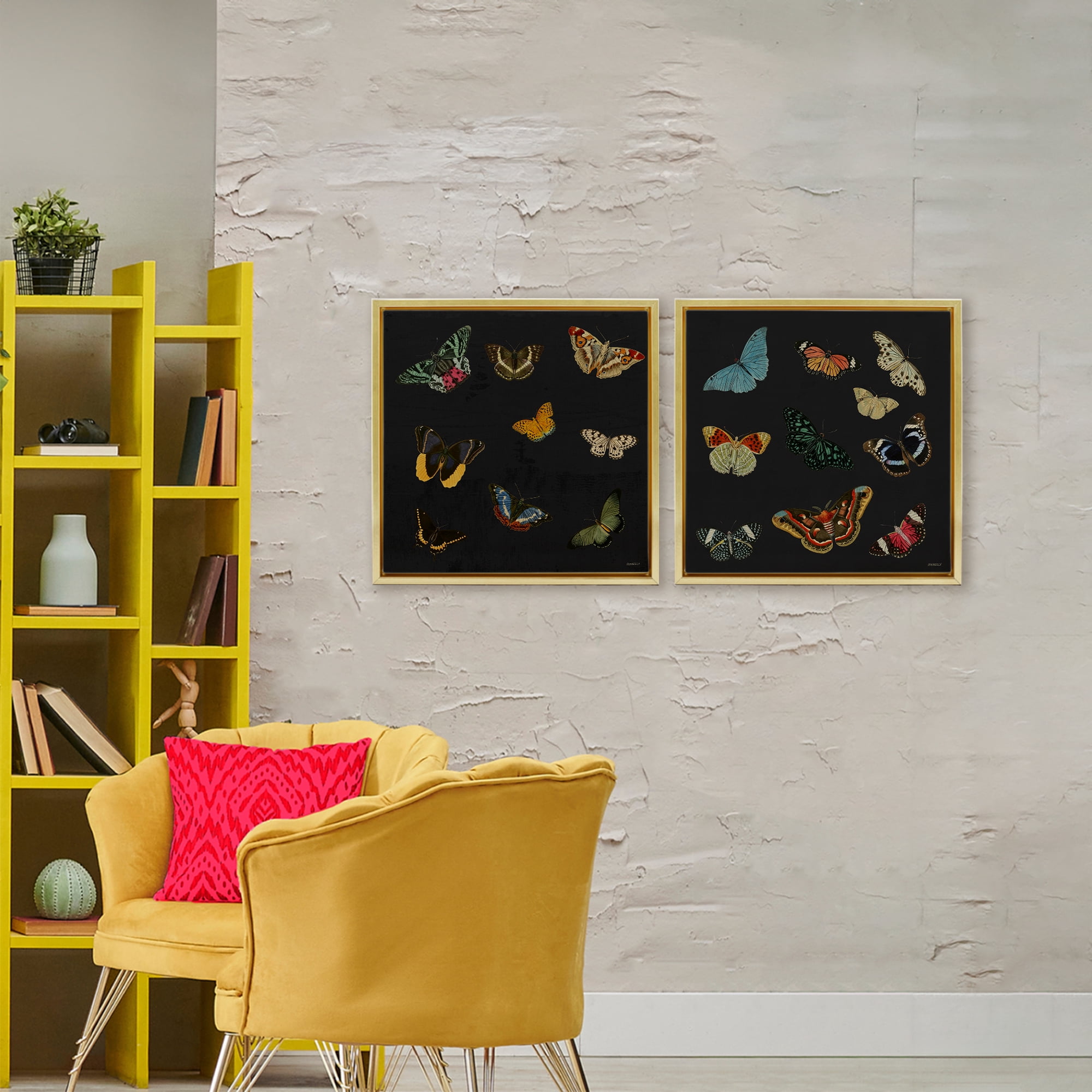 Stupell Industries Entomology Collection on Black 2 Piece Gold Framed Floater Canvas Set, design by Dan Meneely