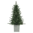 thumbnail image 2 of Haute Decor 4.5 Foot Pre-Lit Barcelona Blue Spruce Potted Tree, 2 of 4