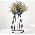 thumbnail image 3 of Soporte para plantas ANGGREK de hierro para el hogar, 3 of 4