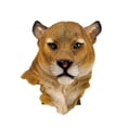 thumbnail image 1 of Arte de pared con cabeza de animal Toystoory decoración realista lujo decoración del hogar Leopardo, 1 of 6