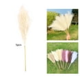thumbnail image 4 of 5PCS Faux Pampas Grass Large 27""""/70CM Tall Artificial Pompous Grass Branches Stems Plants Floor Vase Filler for Decor Flower Arrangement , beige, 4 of 10