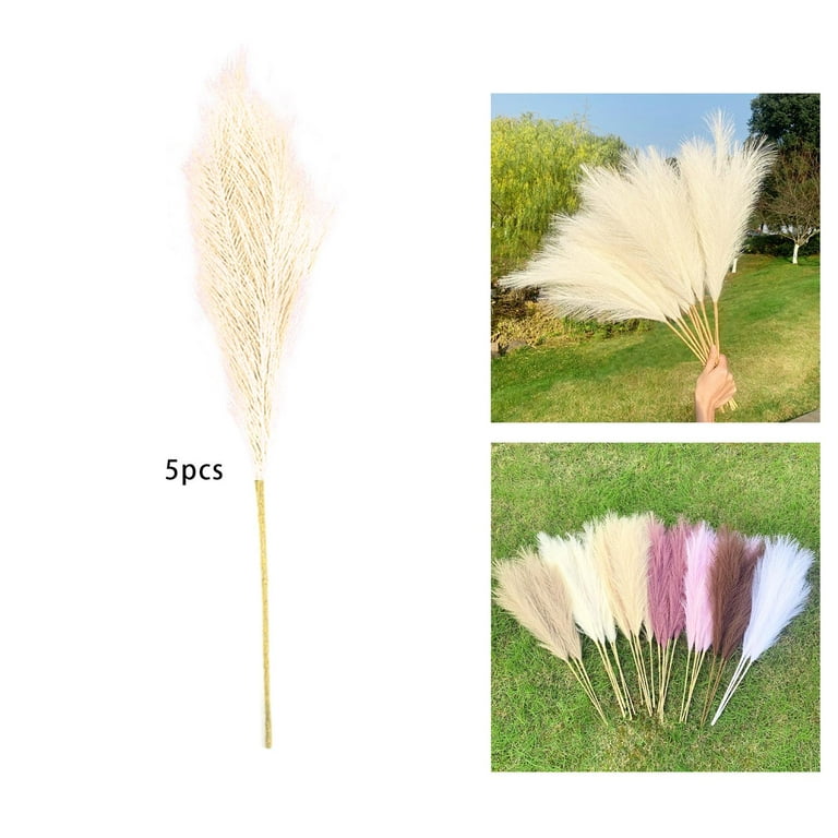 Artificial Pampas Grass,5 Pcs Faux Reed Plumes Reed Feathers for Home Bouquet Decor and Vase Fillings, Men's, Size: 70 cm, Beige