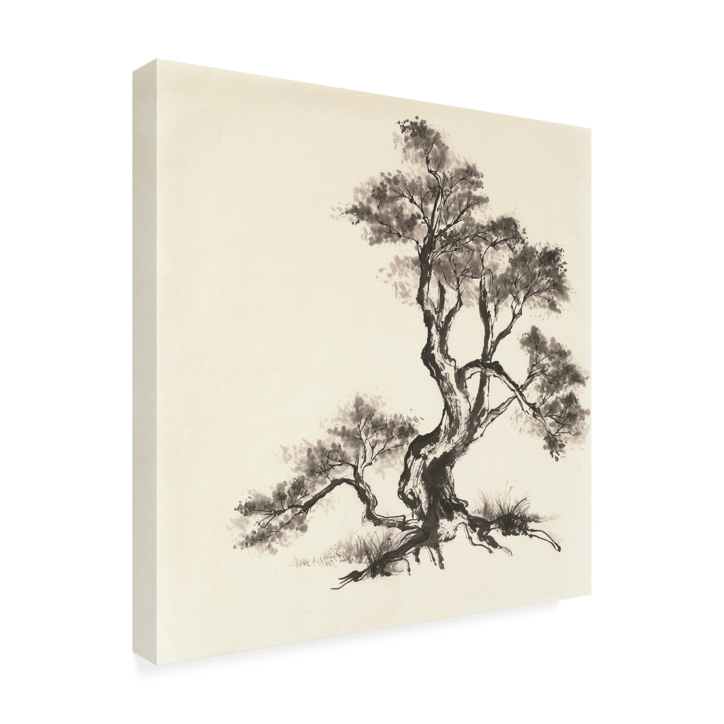 Trademark Fine Art 'Sumi Tree I' Canvas Art by Chris Paschke