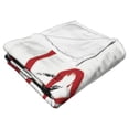thumbnail image 2 of The Northwest 1WBH-23600-0059-OOF 50 x 60 in. Warner Bros. It Chapter 2 It Graffiti Silk Touch Throw Blanket, 2 of 5