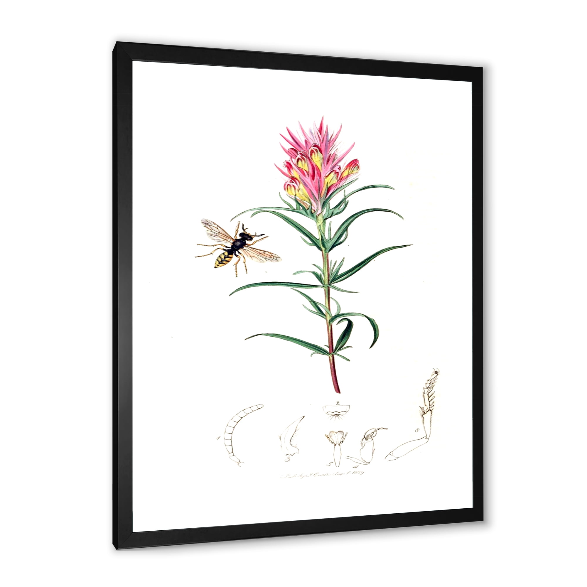 Designart 'Ancient Insects and Plants I' Farmhouse Framed Art Print