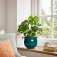 thumbnail image 4 of Ordivic 6 Inch Self Watering Plant Pot – Blackish Green Ceramic African Violet Planter with Absorbent Inner Pot, Easy Care Indoor Flower Pot, Room Decor, Gift for Plant Lover, 4 of 7