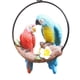 thumbnail image 1 of Estatuilla de resina para jardín, guacamayo, estatuilla para exteriores, árbol de 7 pulgadas, decoración colgante con Rojo + azul Cola Decoraciones Estatua de loro, 1 of 8