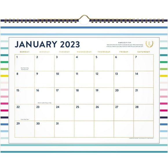 Calendrier mural à bandes joyeuses Emily Ley