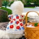thumbnail image 4 of Dinheiro Vestido de perro pequeño de verano para perros pequeños gatos niña lindo floral cachorro arnés vestidos mascota princesa vestido de cumpleaños mujer perrito trajes ropa grande, 4 of 6