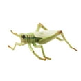 thumbnail image 1 of Beetle Model Decoration Dragonfly Frog Eco-friendly Insect Beetle Statue Model Desktop Decoration, 1 of 5