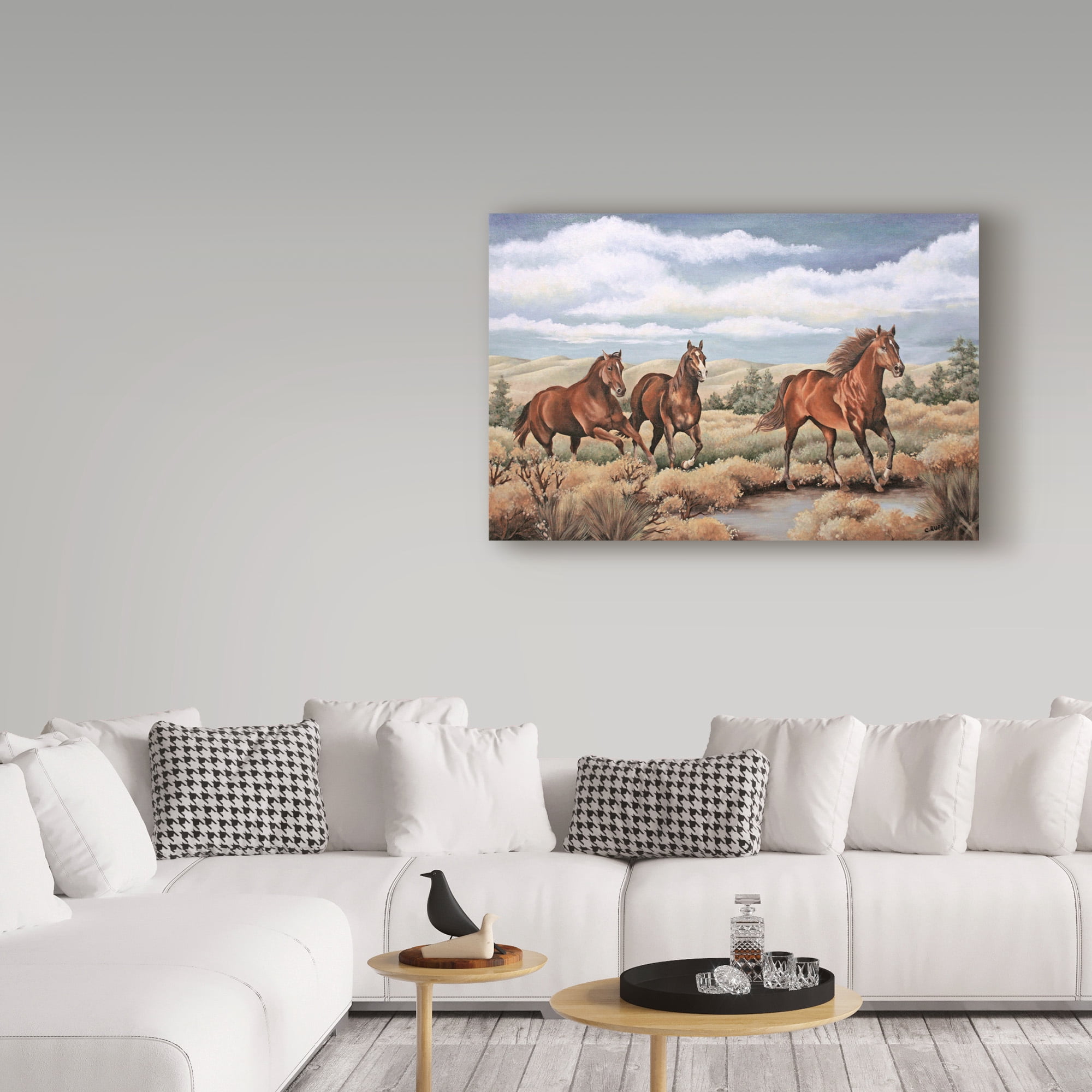Trademark Fine Art 'Spirit of the Southwest' Canvas Art by Carol J Rupp
