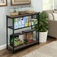 thumbnail image 6 of Fish Tank Stand for 10-20 Gallon Aquariums Heavy Duty Adjustable Height Double Tier Steel Structure Sturdy Design Reptile Cage or Tank Storage Cabinet, Black, 6 of 6