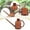 Brun, variante sur Colaxi Arrosoir de Jardin 1L Petite Poignée Portable Outil de Jardinage Moderne pour Bonsaï Patio Plantes d'Intérieur Marron