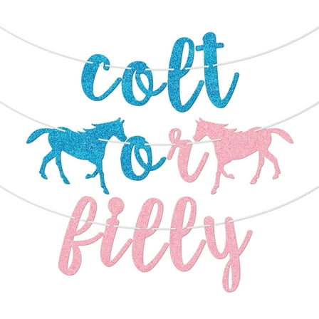 Colt or Filly Banner, Gender Reveal Decorations, Boy or Girl, He or She, Blue or Pink Baby Shower Party Supplies, Horse Themed Baby Announcement Sign, Pre-Strung