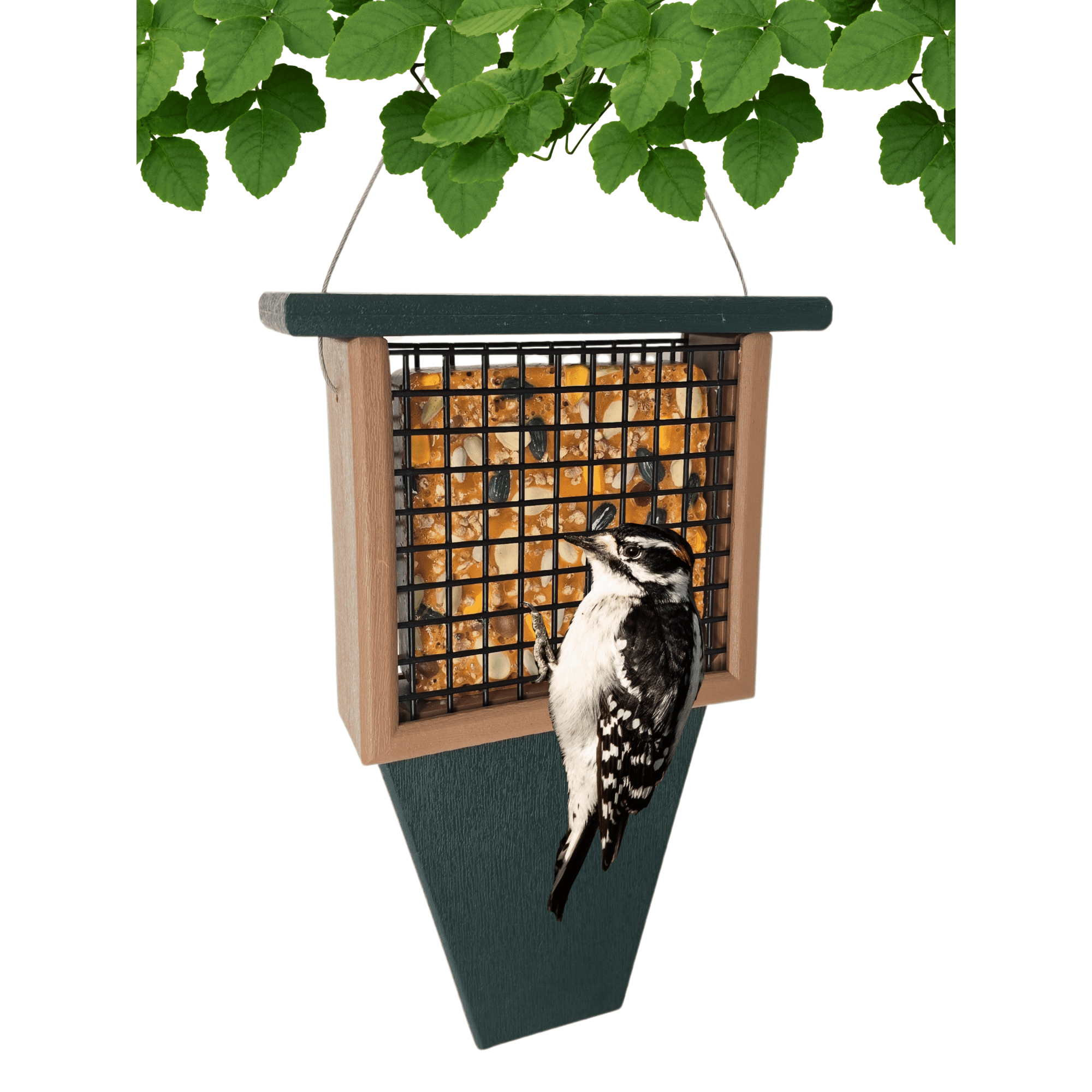 Songbird Essentials Suet Feeder with Tail Prop Recycled Plastic Hunter Green and Driftwood, 1 Suet Cake Capacity