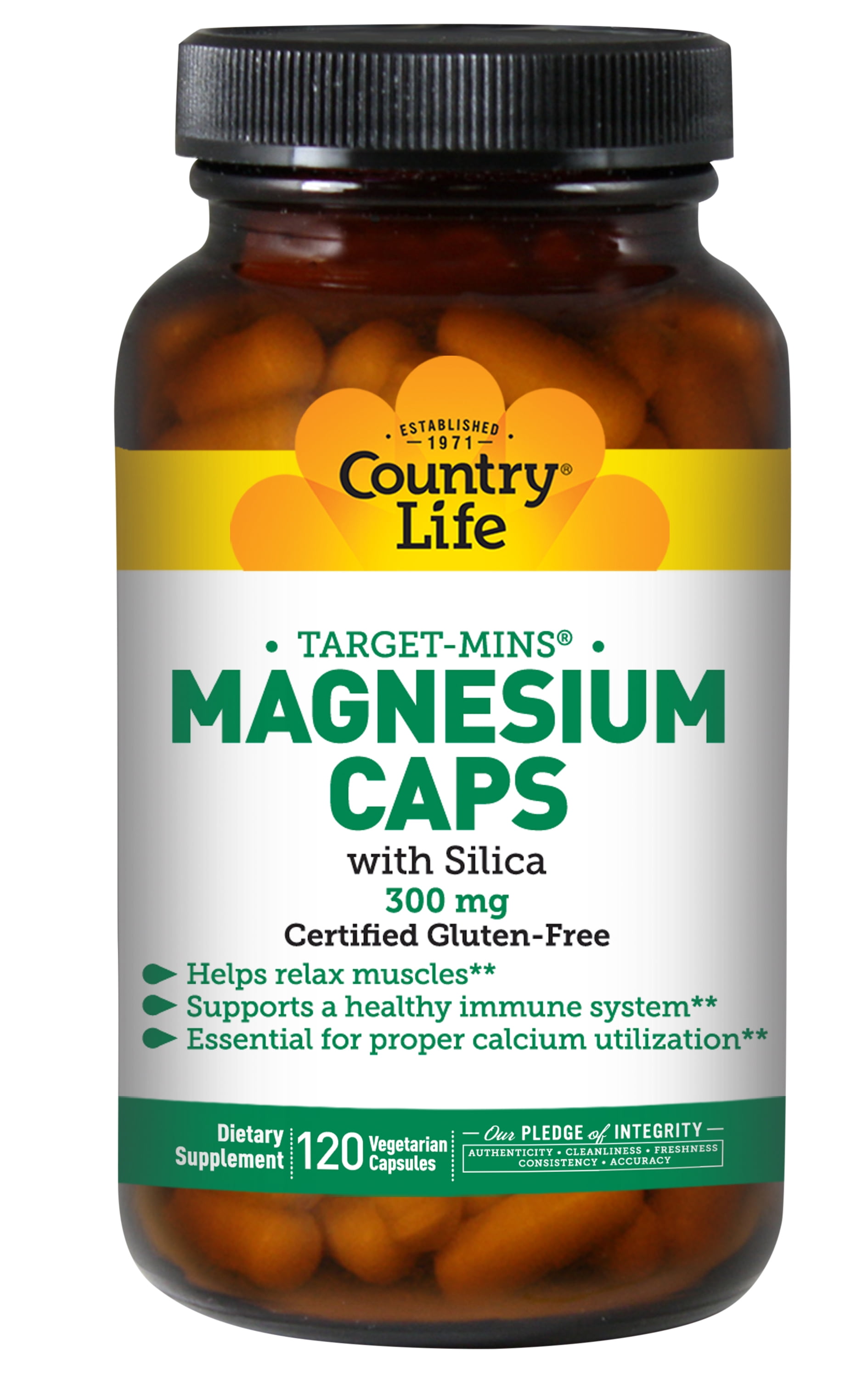 mag 2 magnesium 300 mg
