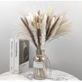 thumbnail image 1 of Dried Pampas Grass Decor, 60 PCS Pampas Grass Contains Bunny Tails Dried Flowers, Reed Grass Bouquet for Wedding Boho Flowers Home Table Decor, Rustic Farmhouse Party (White and Brown), 1 of 8