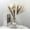 White,Brown-60, variant on 60 PCSDried Pampas Grass Decor for Wedding Boho Flowers Home Table Decor, Rustic Farmhouse Party (White and Brown)