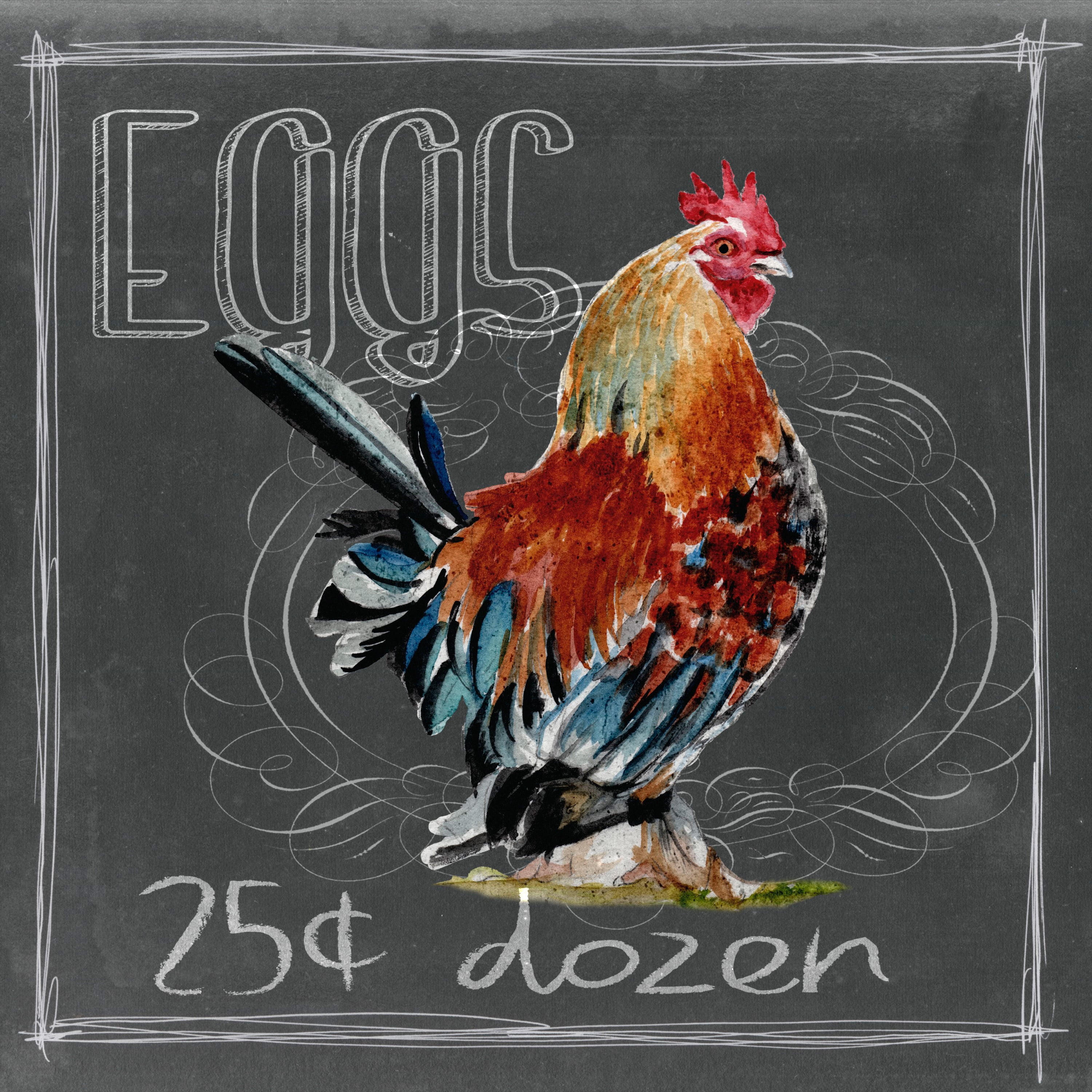Marmont Hill "Chalkboard Eggs" Painting Print on Wrapped Canvas