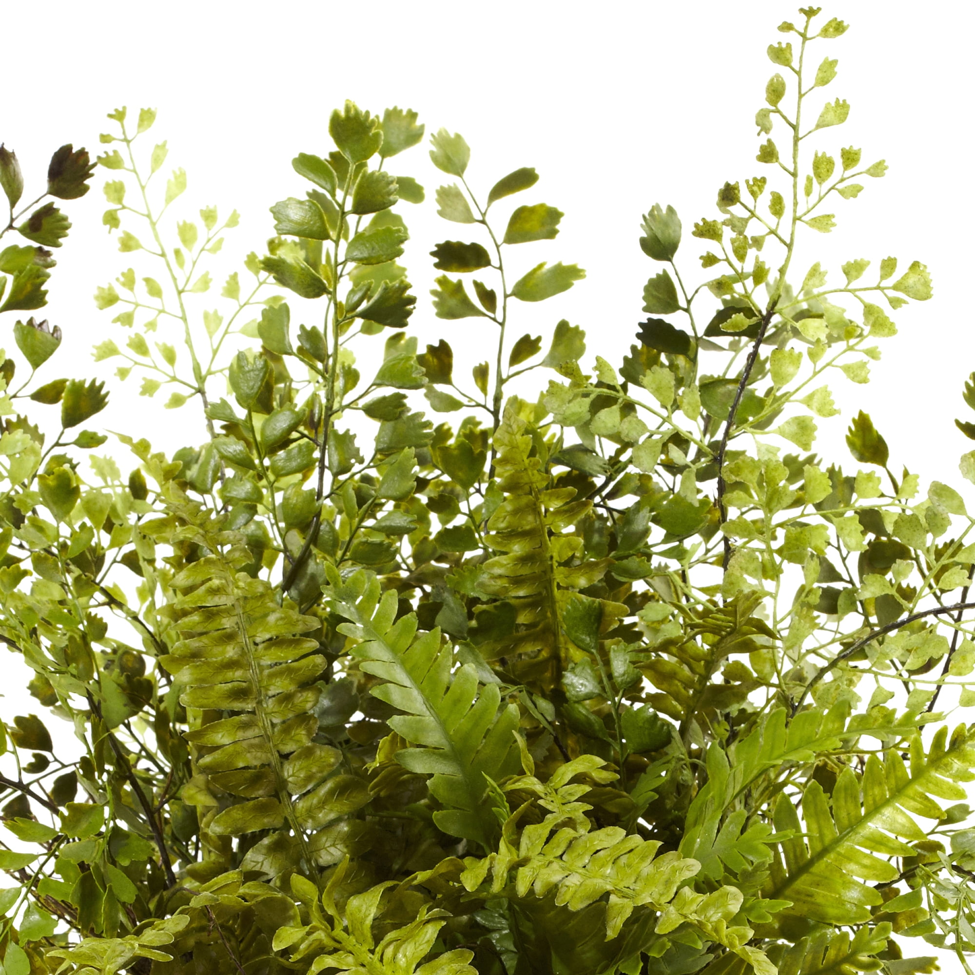 Nearly Natural 13" Mixed Fern Artificial Plant with Twig and Moss Basket, Green