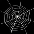 thumbnail image 1 of Bewildely SpiderWeb Halloween telaraña Terror fiesta decoración Bar casa embrujada Halloween arañas Web decoración de Halloween 1,5/2,5 m Kits de decoración para fiestas Blanco 1.5 m Bewildely HA007461-01B, 1 of 6