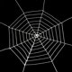 thumbnail image 1 of Toystoory SpiderWeb Halloween telaraña Terror fiesta decoración Bar casa embrujada Halloween arañas Web decoración de Halloween 1,5/2,5 m Kits de decoración para fiestas Blanco 2.5 m Toystoory HA007461-03B, 1 of 6