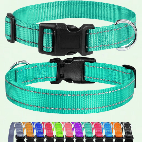 Turquoise Reflective Dog Collar, Adjustable Nylon Collar for Medium Dogs