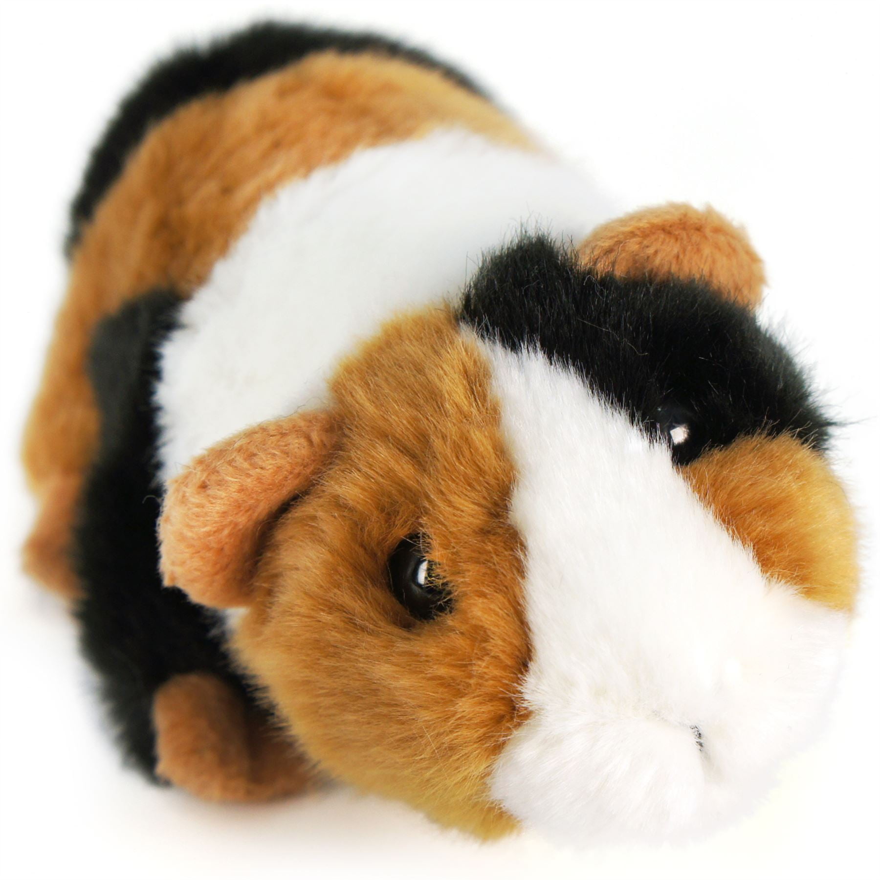 guinea pig plush toy