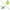 Green, variant on Tour Sticks - Golf Alignment Sticks