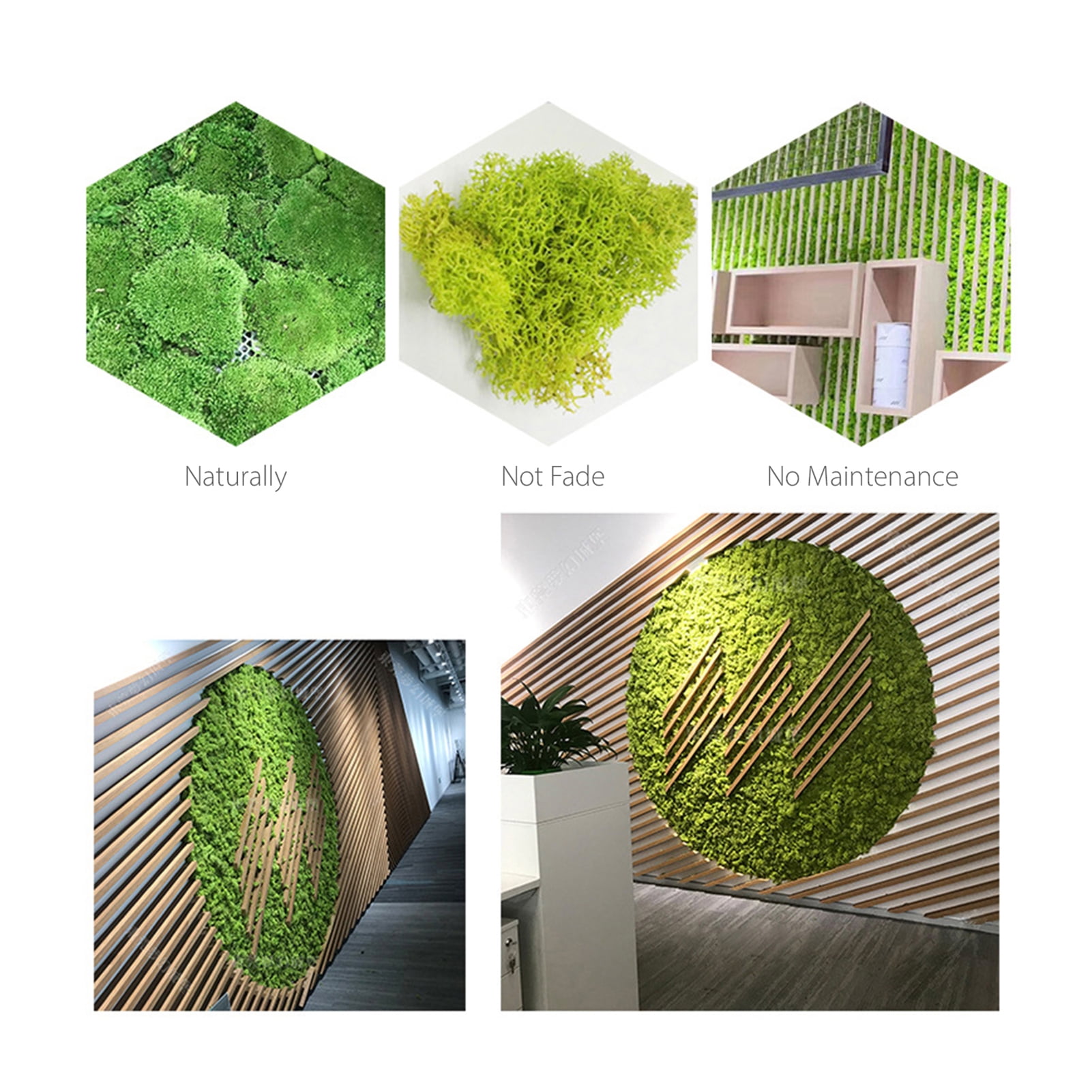 Real Preserved Moss Moss Preserved Moss Gardenning Art Wall Decor Moss Bulk Micro Landscape Decorative Props