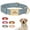 Blue, variant on Pet Artist Soft Leather Personalized Dog Collar for Small Medium Large Dogs Metal Buckle