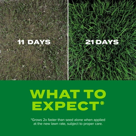 Scotts Turf Builder Rapid Grass Tall Fescue Mix 16 lbs. - Blue