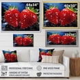 thumbnail image 4 of Designart "Watercolor Coastal Coral I" Oversized Animals Wall Art - Coastal Coral Coastal Coral Under Water Entryway Wall Art Print, 4 of 4
