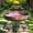 B, variant on chaungfeng Metal Bird Bath for Outside with 2 Bird Decor, Hummingbird on Pole & Sparrow on Bowl, Garden Birdbath, 10 Inch Antique Bronze Freestanding Birdfeeder Bath for Yard Patio