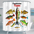 thumbnail image 1 of Vibrant Freshwater Fish Shower Curtain - Detailed Illustrations & Scientific Labels for Education, 1 of 4