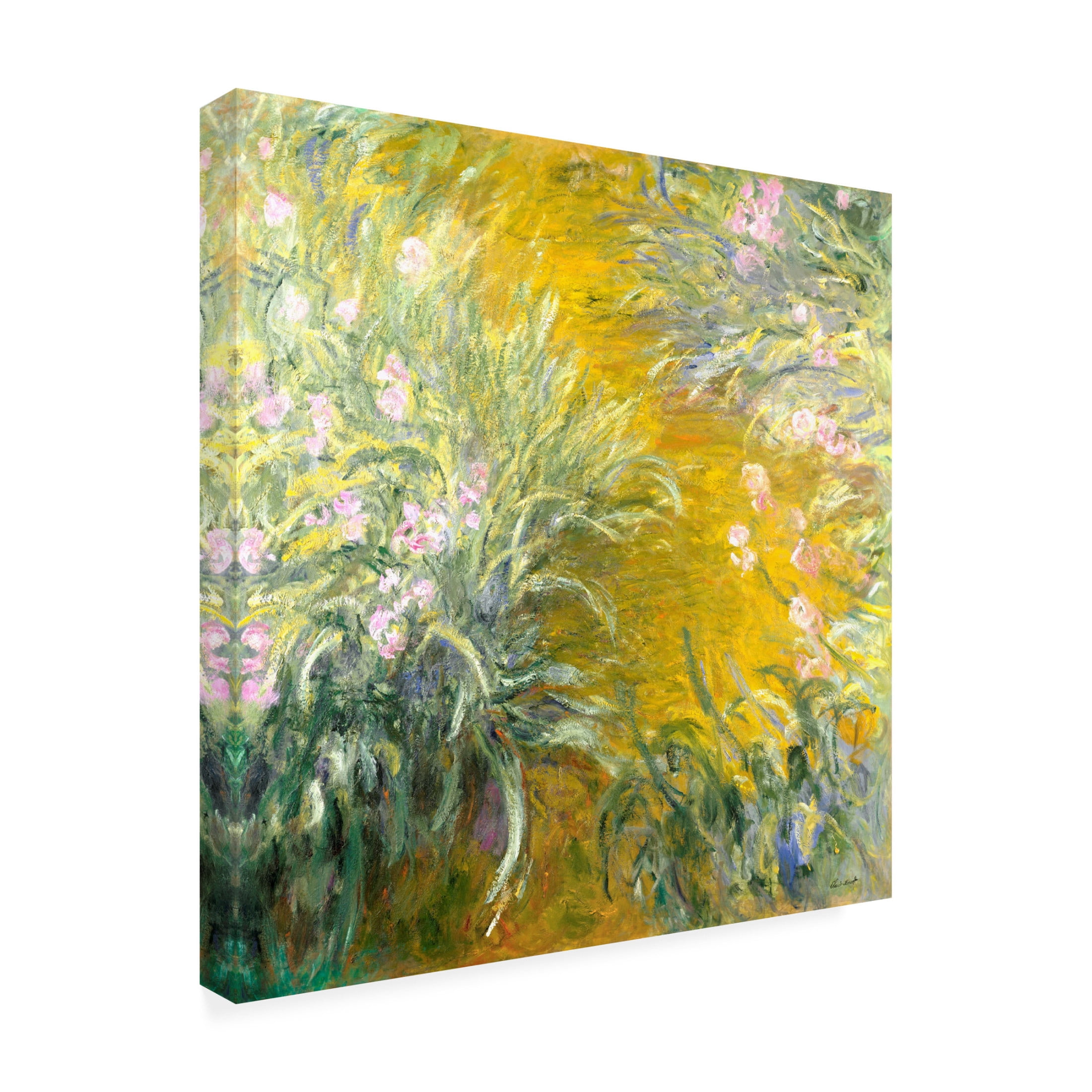 Trademark Fine Art Pictufy  The Path through the Irises Canvas Wall Art