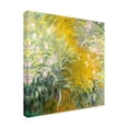 thumbnail image 4 of Trademark Fine Art Pictufy  The Path through the Irises Canvas Wall Art, 4 of 4
