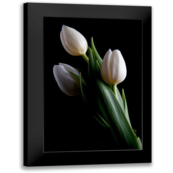 McNemar, C. Thomas 11x14 Black Modern Framed Museum Art Print Titled - Tulips IV