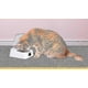 thumbnail image 4 of 5g Infrared Automatic Opening Bowl Prevent Cockroache Mouse Pet Infrared Sensor Bowl Smart Feeder For Cats Dogswhite, 1 Piece New, 4 of 4