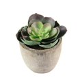 thumbnail image 1 of Mini Plants Plastic Succculent Artificial Small Plants Faux Succulent Simulation Plant Artificial Flocking Plants, 1 of 3