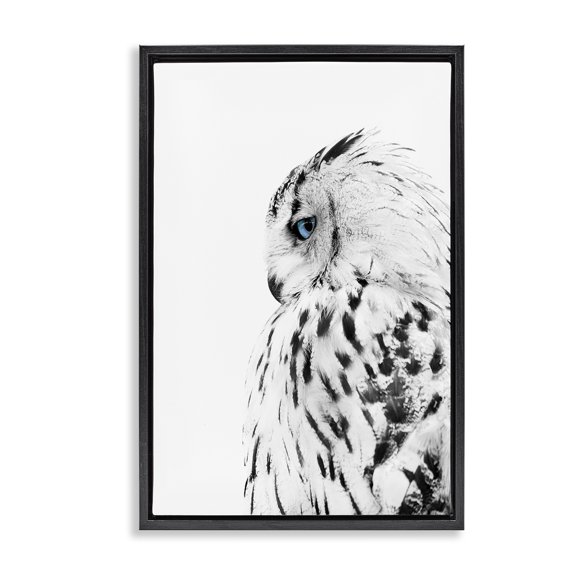 Stupell Industries Rustic Lodge Owl with Strong Blue Gaze Black Floating Frame Canvas Art, 17 x 25, by Design Fabrikken