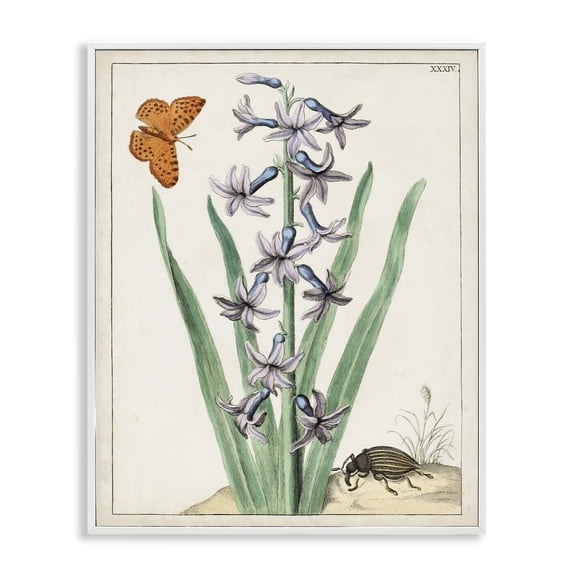Stupell Industries French Country Vintage Plant & Beetle White Framed Giclee Art, 11 x 14, by World Art Group