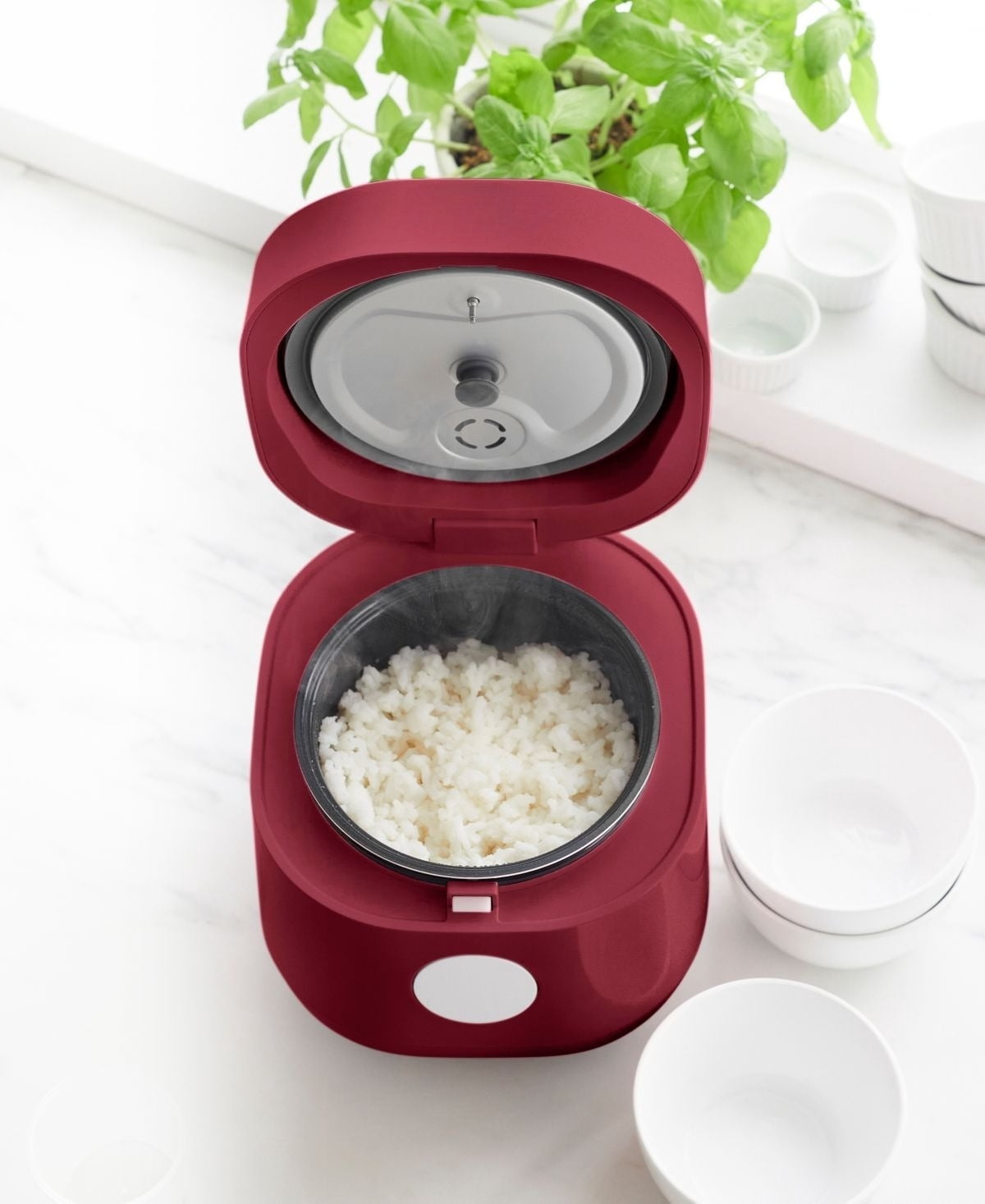 Healthy Nonstick Rice and Grains Cooker