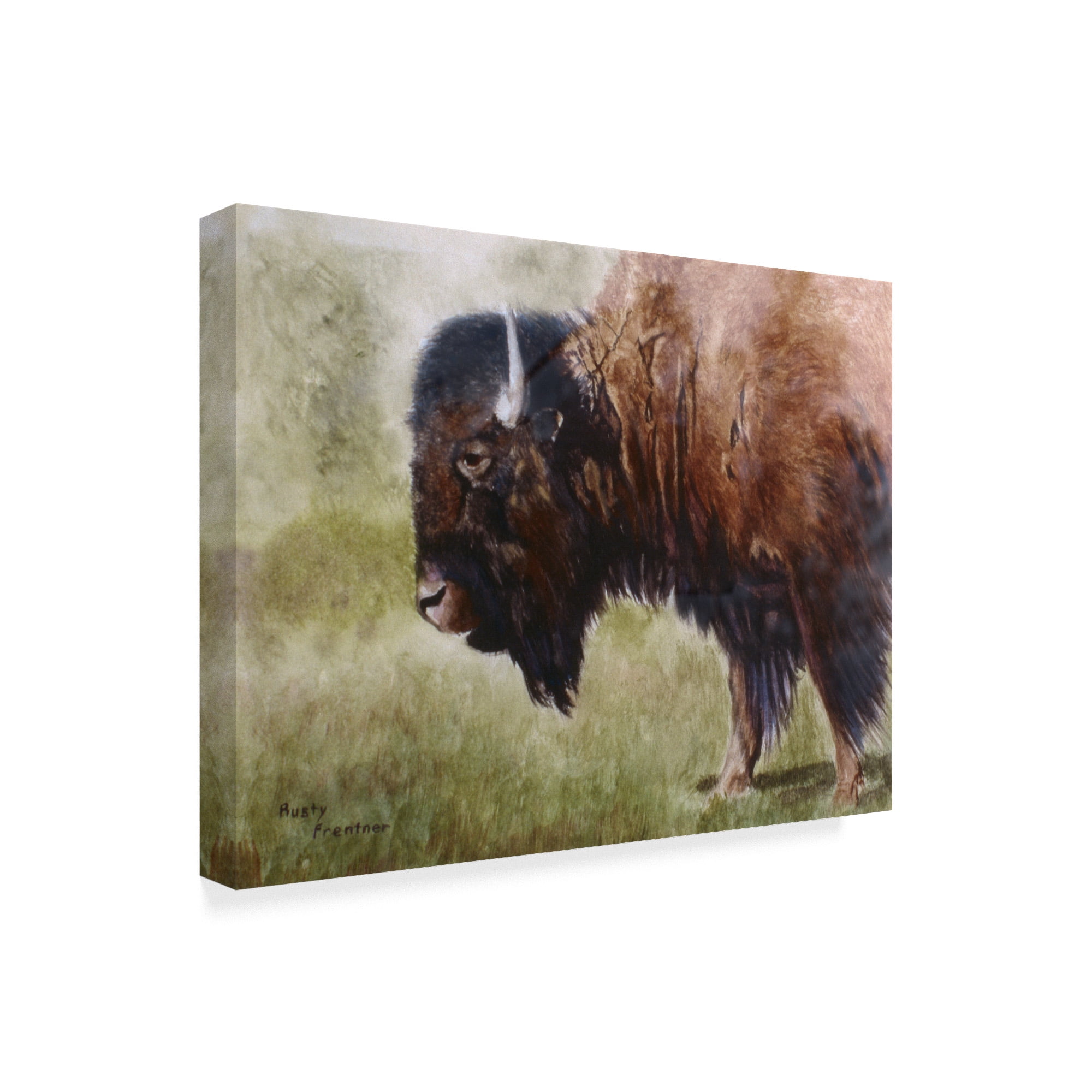 Trademark Fine Art 'Buffalo' Canvas Art by Rusty Frentner
