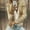 CJ1_Gold, variant on Beige Polyester Sequin Sequin Wide Neck Weekend Women's Casual Jackets, Women Casual Fashion Urban Sequin Sequins Sparkling Cardigan Jacket