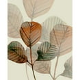thumbnail image 3 of Boho Hue Studio 20x24 Black Modern Framed Museum Art Print Titled - Brown Leaves 1, 3 of 5